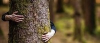 Becas de periodismo de investigación en crímenes ambientales